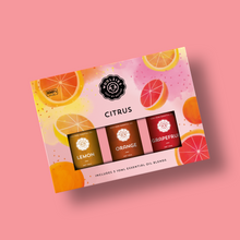 Load image into Gallery viewer, Citrus Set Of 3