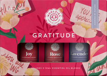 Load image into Gallery viewer, The Gratitude Collection