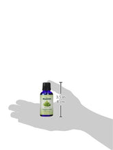 Load image into Gallery viewer, Peppermint Essential Oil