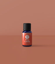 Load image into Gallery viewer, Pina Colada Oil Blend
