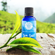 Load image into Gallery viewer, Tea Tree Essential Oil
