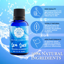 Load image into Gallery viewer, Tea Tree Essential Oil