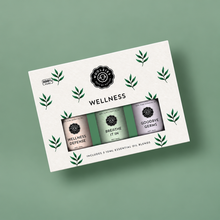 Load image into Gallery viewer, Wellness Essential Oil Collection