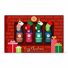 Load image into Gallery viewer, Cozy Christmas Essential Oil Collection – 4 x 10 ml