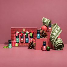 Load image into Gallery viewer, Cozy Christmas Essential Oil Collection – 4 x 10 ml