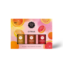 Load image into Gallery viewer, Citrus Set Of 3
