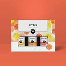 Load image into Gallery viewer, Citrus Faves Set Of 3