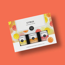 Load image into Gallery viewer, Citrus Faves Set Of 3