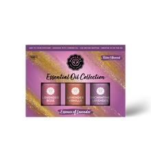 Load image into Gallery viewer, Essence of Lavender Essential Oil Collection- 3x10ml