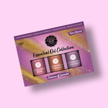 Load image into Gallery viewer, Essence of Lavender Essential Oil Collection- 3x10ml