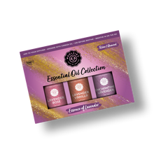 Load image into Gallery viewer, Essence of Lavender Essential Oil Collection- 3x10ml