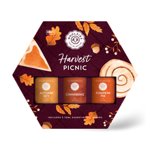 Load image into Gallery viewer, Harvest Picnic Set Of 3