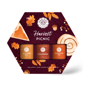 Harvest Picnic Set Of 3