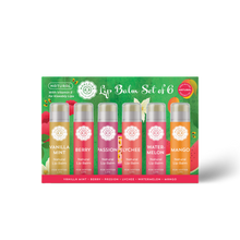 Load image into Gallery viewer, NEW - Natural Lip Balm Set of 6