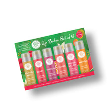Load image into Gallery viewer, NEW - Natural Lip Balm Set of 6