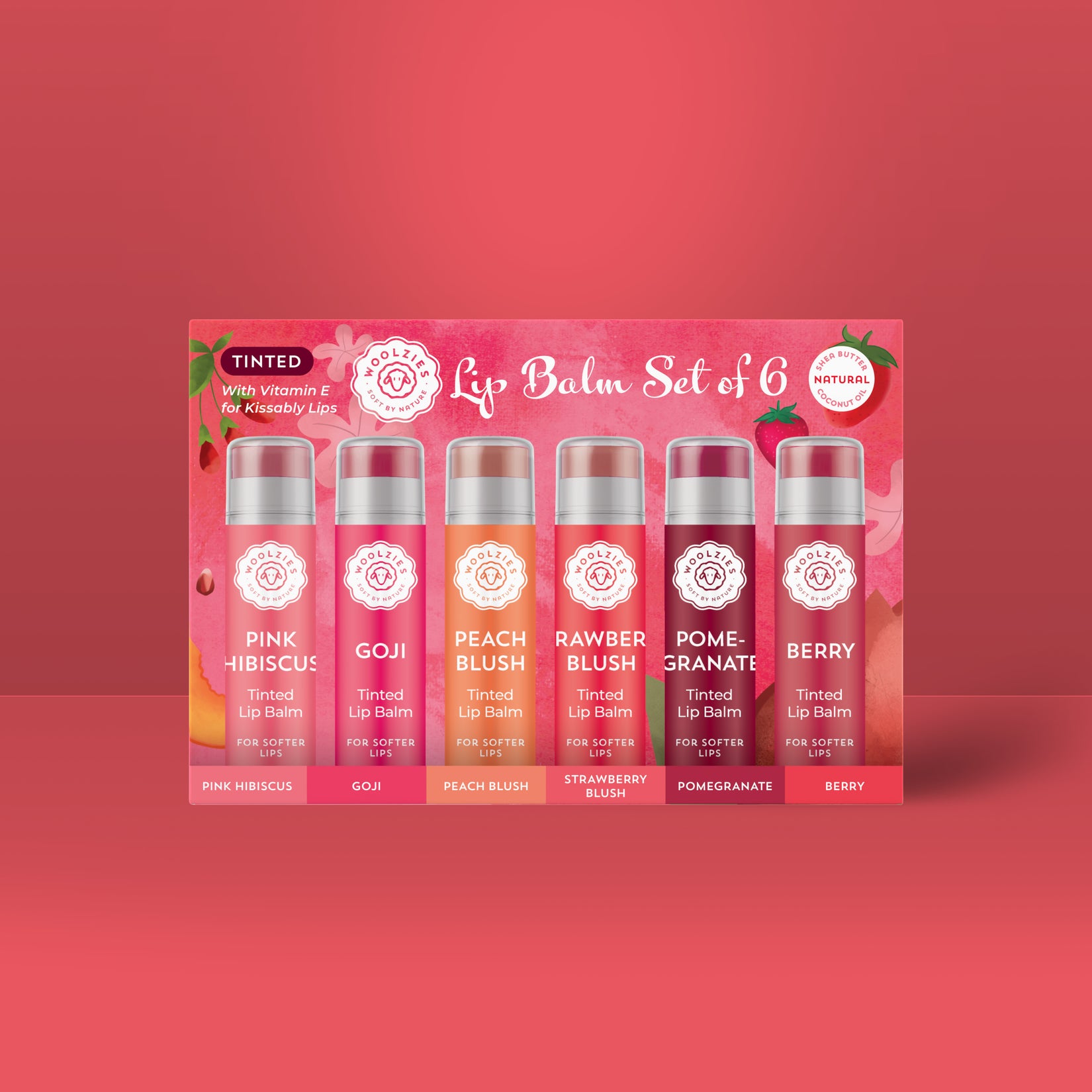 NEW Tinted Lip Balm Set of 6