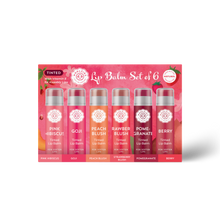 Load image into Gallery viewer, NEW Tinted Lip Balm Set of 6