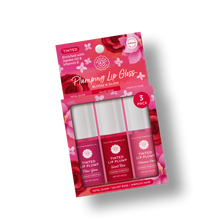 Load image into Gallery viewer, Plumping Lip Gloss Trio – Bloom &amp; Glow