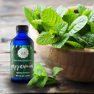 Peppermint Essential Oil