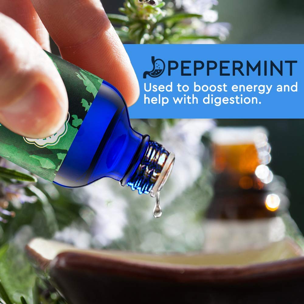 Winter Bundle- Peppermint, Ginger, & Wintergreen – Essential Oil Analysis