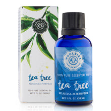 Load image into Gallery viewer, Tea Tree Essential Oil