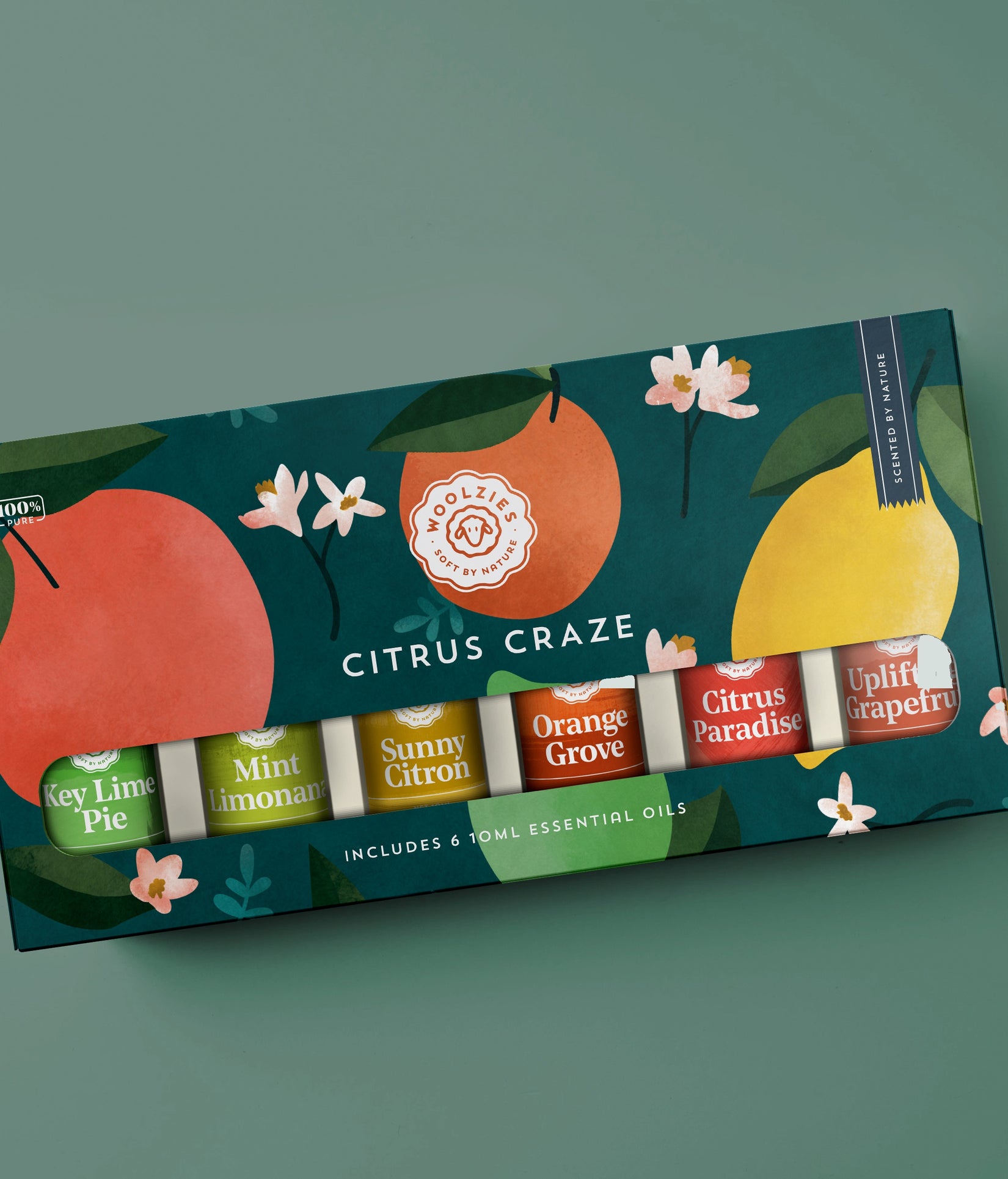 Citrus Craze Set Of 6 Collection